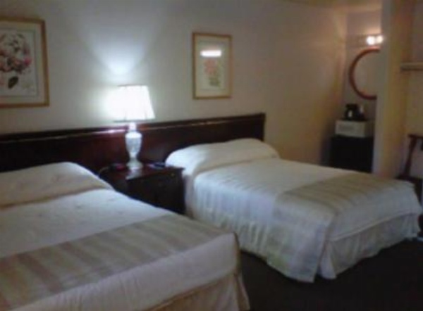 Caravelle Inn & Suites image 13